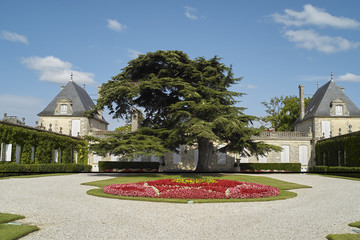 Bordeaux Chateau Beychevelle