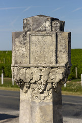 Bordeaux Chateau d Yquem