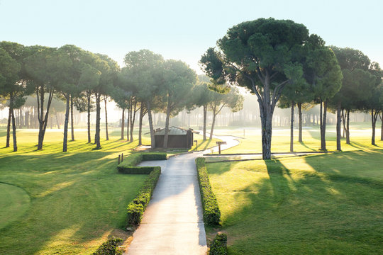 playing golf on a golf course