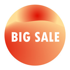 BIG SALE : modern fruit imitation glossy colored icon, label, push button, new gel like style collection, isolated on white background, fully editable vector illustration EPS 10