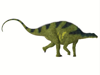 Brachytrachelopan Side Profile - Brachytrachelopan was a herbivorous sauropod dinosaur that lived in Argentina during the Jurassic Period. © Catmando