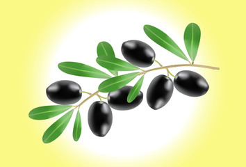 Illustration of Olive branch on yellow background