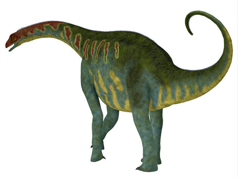 Jobaria Dinosaur Tail - Jobaria was a herbivorous sauropod dinosaur that lived in the Jurassic Period of the Sahara Desert in Africa.