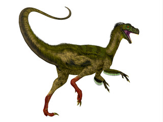 Ornitholestes Dinosaur Tail - Ornitholestes was a small carnivorous dinosaur that lived in the Jurassic Period of Western Laurasia which is now North America. © Catmando