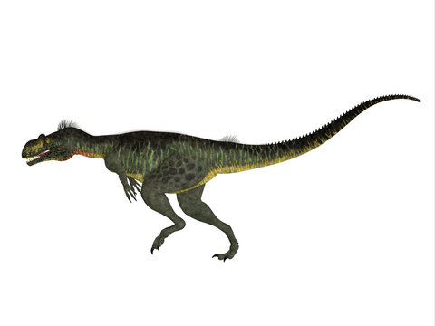 Megalosaurus Side profile - Megalosaurus was a large carnivorous theropod dinosaur that lived in the Jurassic Period of Europe.