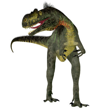 Megalosaurus on White - Megalosaurus was a large carnivorous theropod dinosaur that lived in the Jurassic Period of Europe.