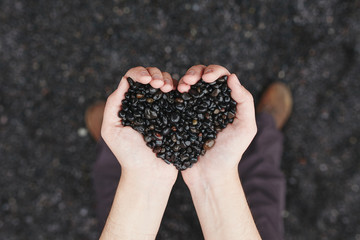 Hands holding a sand in shape of the heart