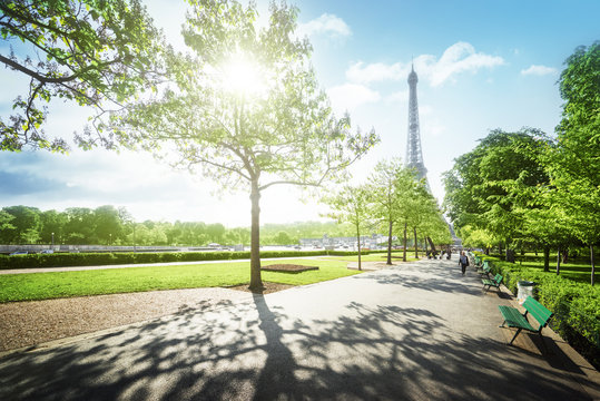 Fototapeta sunny morning and Eiffel Tower, Paris, France