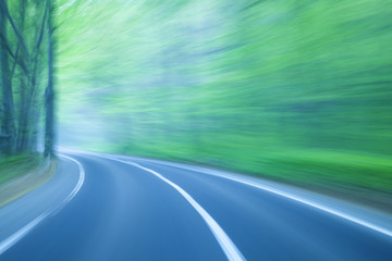 Road in a green forest