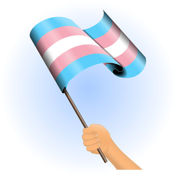 Hand holding a transsexual pride flag vector