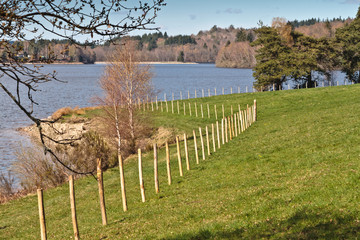 Lac de Vassivière (Haute-Vienne)
