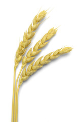 Three Pieces of Wheat