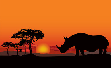 Fototapeta na wymiar African landscape with animal silhouette. Savanna sunset background