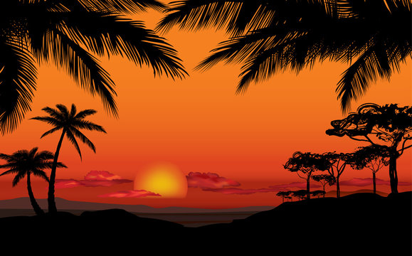 African landscape with palm silhouette. Savanna sunset background