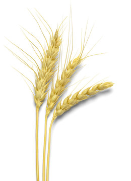 Three Stocks of Wheat