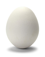 White Egg