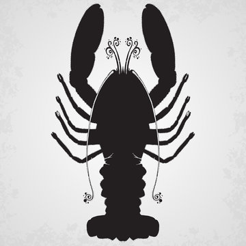 Lobster. Hand drawn isolated illustration.