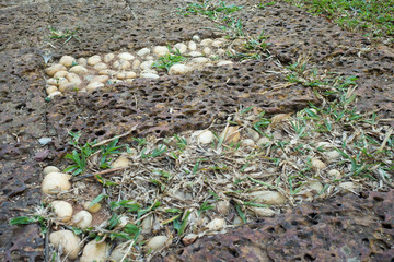 Pebble floor