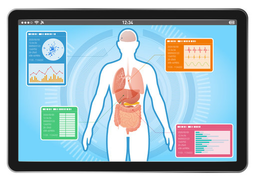 medical interface on tablet PC, human body and digestive organs, vector illustration