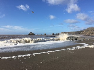 Waves Crashing on Jenner Beach