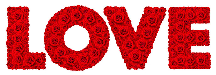 Red rose flower set in word LOVE isolated on white.