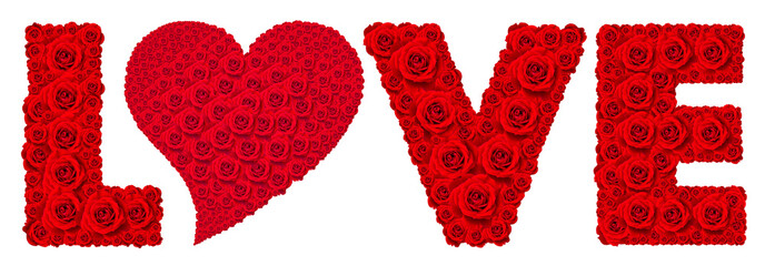 Red rose flower set in word LOVE isolated on white.