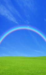 Obraz na płótnie Canvas Green grass and rainbow