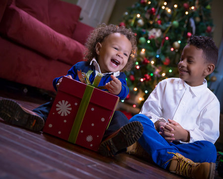 Brothers Laughing in Living Room at Christmas Time 