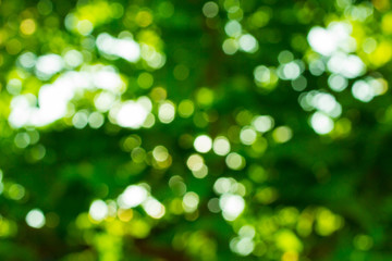 Obraz premium Green bokeh background