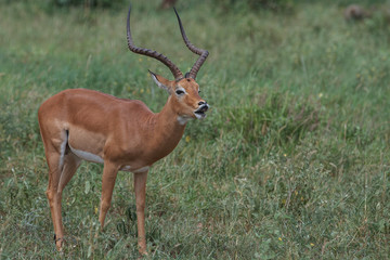 Parque Nacional Tarangire
