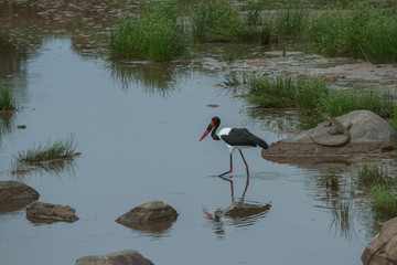 Parque Nacional Tarangire
