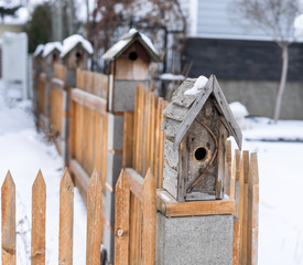 Row of bird houses on fence