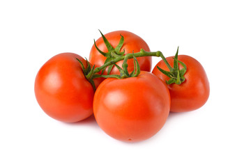 bunch of fresh tomato with stem on white background