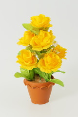 The Plastic flower in the pots on white background