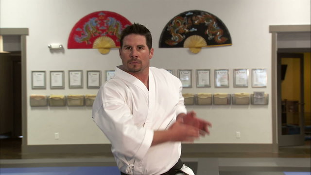 Close up of a martial arts instructor performing Tae Kwon Do.