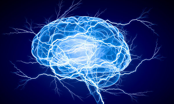 Digital human brain