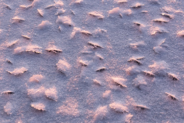 Ice crystals formed on the ice of a frozen lake