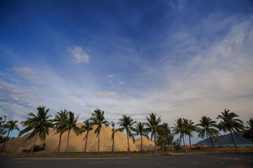 Fototapeta na wymiar large heaps of yellow building sand behind row of palms