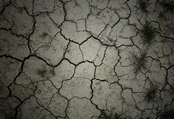 soil dry crack
