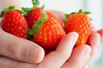 hands holding strawberries