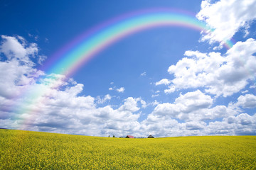 Rainbow Over Countryside - Powered by Adobe