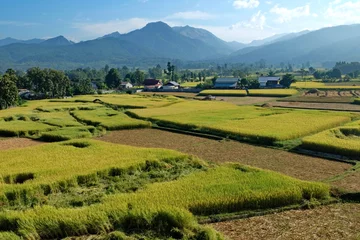 Foto op Plexiglas Fields and Mountains,At nan,thailand © chongnarai