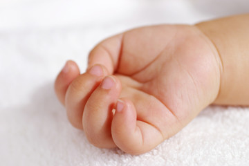 newborn baby hand