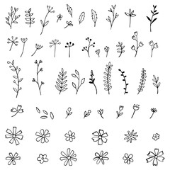 Collection of hand sketched flowers and leafs