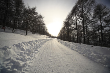 雪道