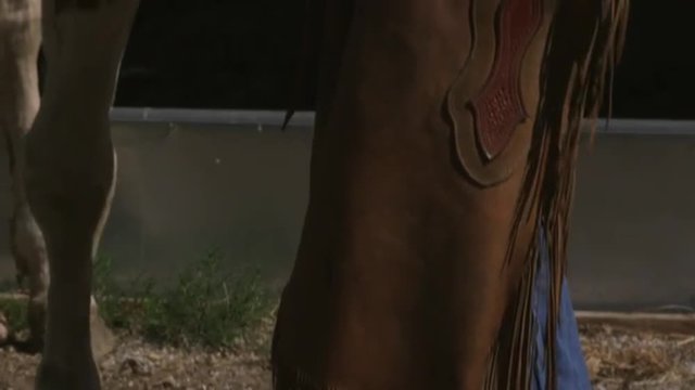 Slow tilt shot of a cowboy petting a skewbald horse
