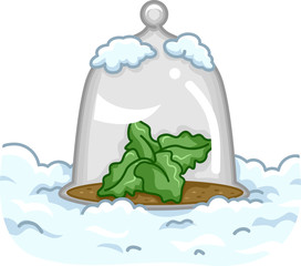 Glass Cloche with Plant Inside