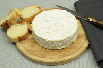camembert 14012016