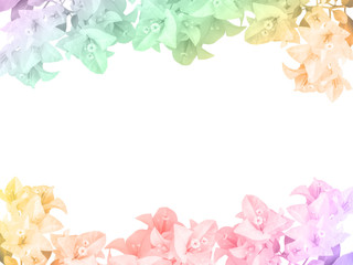 Bougainvillea flower frame