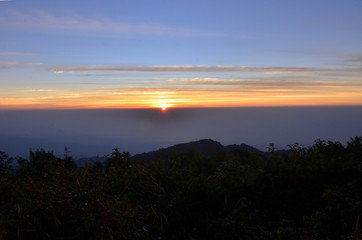 nature landscape